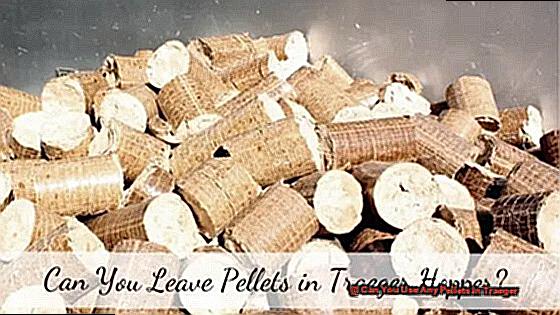 Can You Use Any Pellets In Traeger-4
