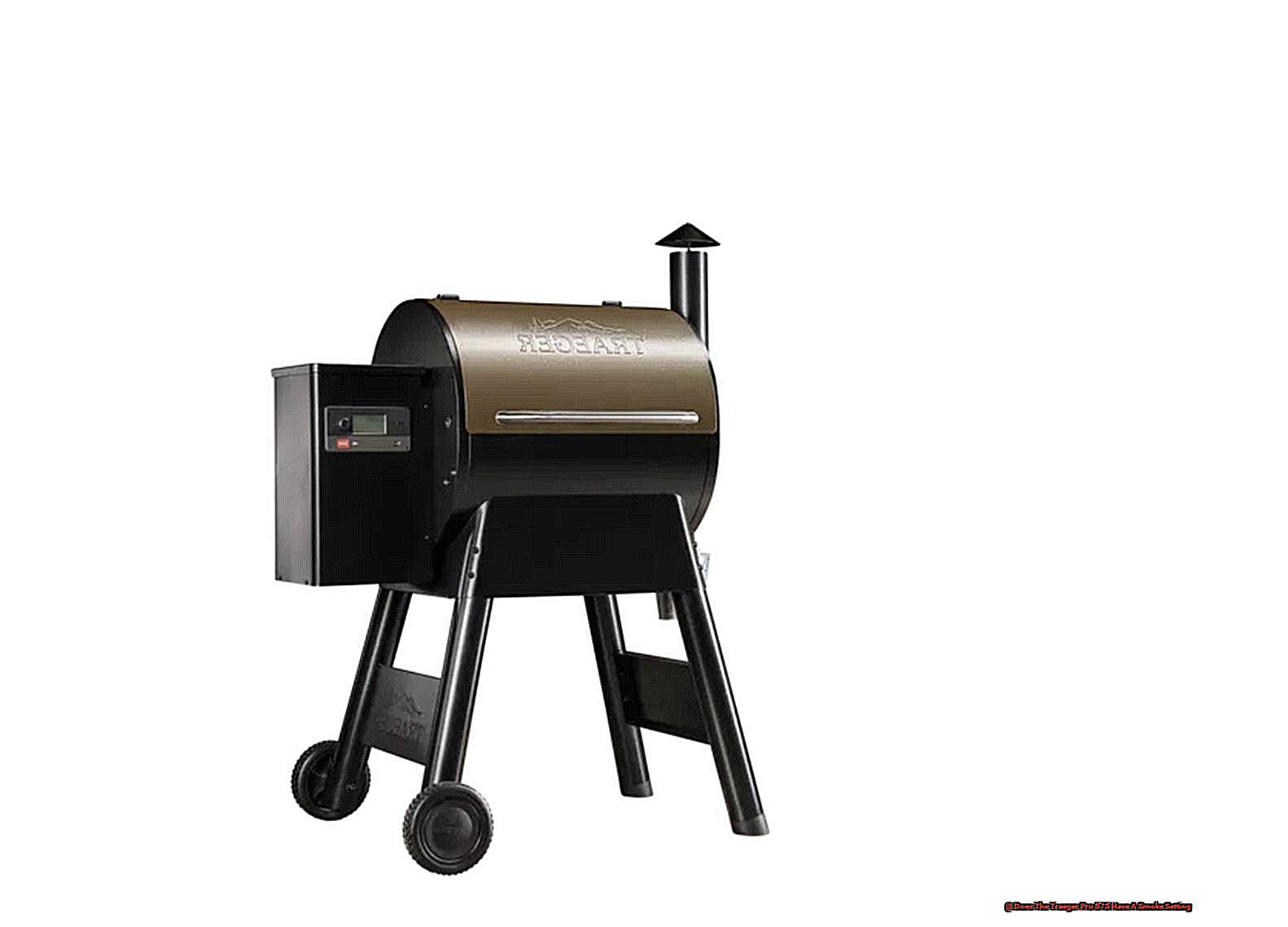 Does The Traeger Pro 575 Have A Smoke Setting-2